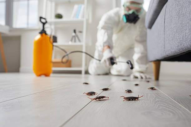 Commercial Rodent Management in Cape Charles